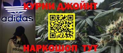 гидропоника Тара