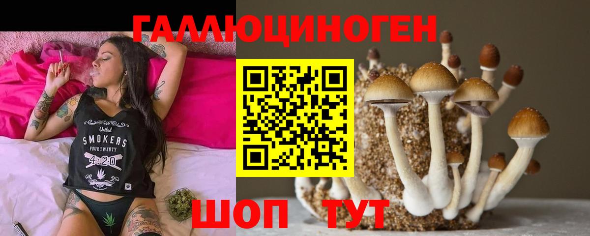 где продают наркотики  Псилоцибиновые грибы прущие грибы  Артём  Вход с VPN  Псилоцибиновые грибы GOLDEN TEACHER 